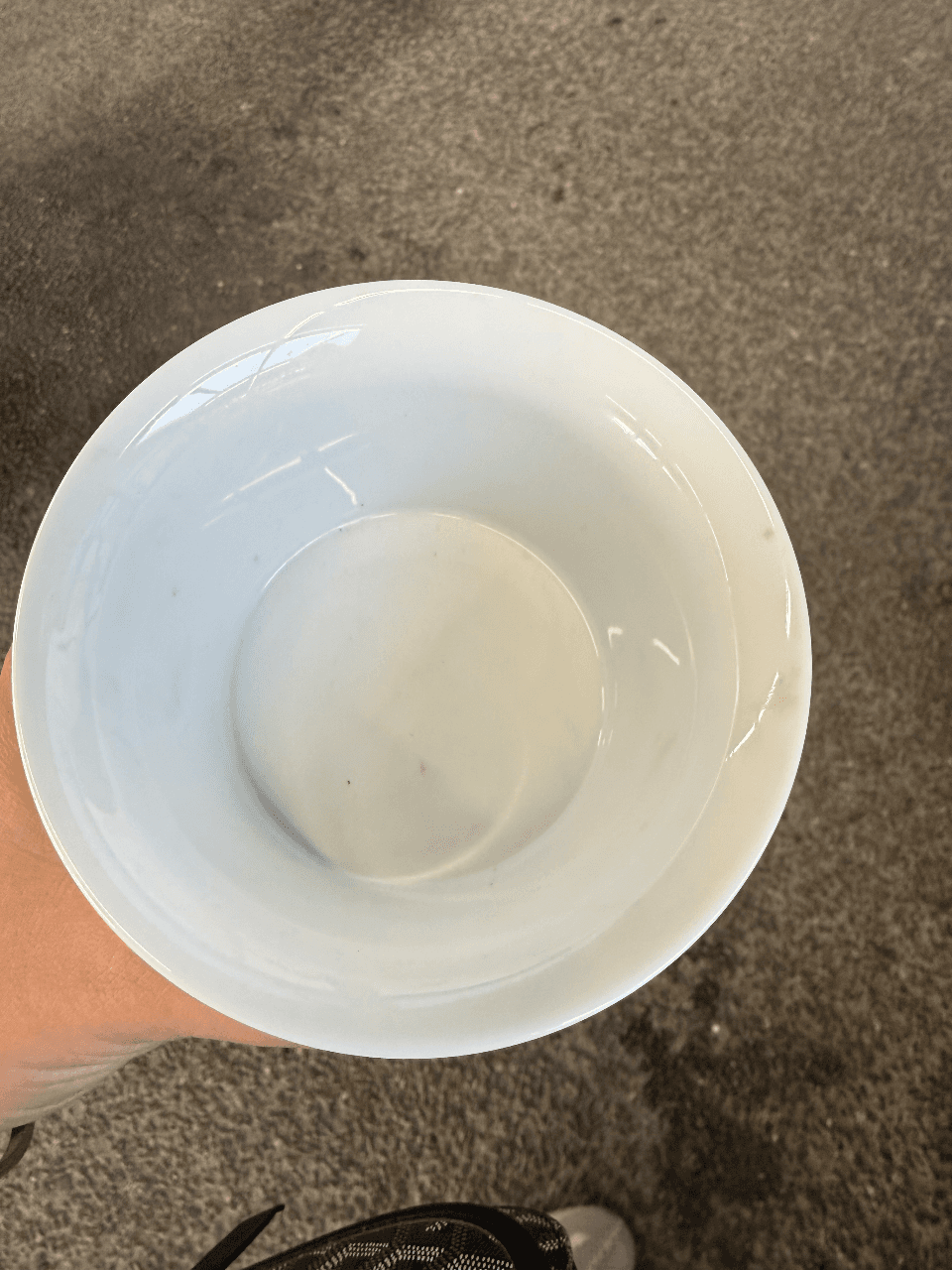 Фарфоровая пиала Versace by Rosenthal, серия Le Jardin de Versace, изображение 4 из 5